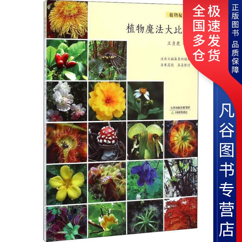 【正版书】植物魔法大比拼