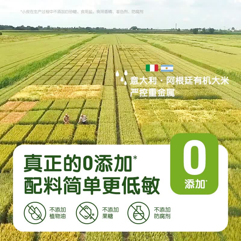 小皮高铁原味有机大米粉婴儿辅食宝宝营养钙铁锌米糊 婴幼儿胡萝卜大米粉11月6日到期 160g*1盒