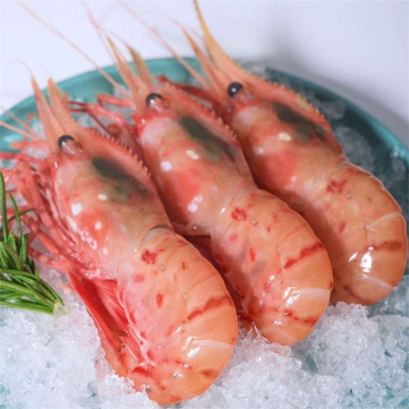 前岔牡丹虾刺身新鲜生吃即食 甜虾冷冻海鲜水产  超大刺身牡丹虾 1000