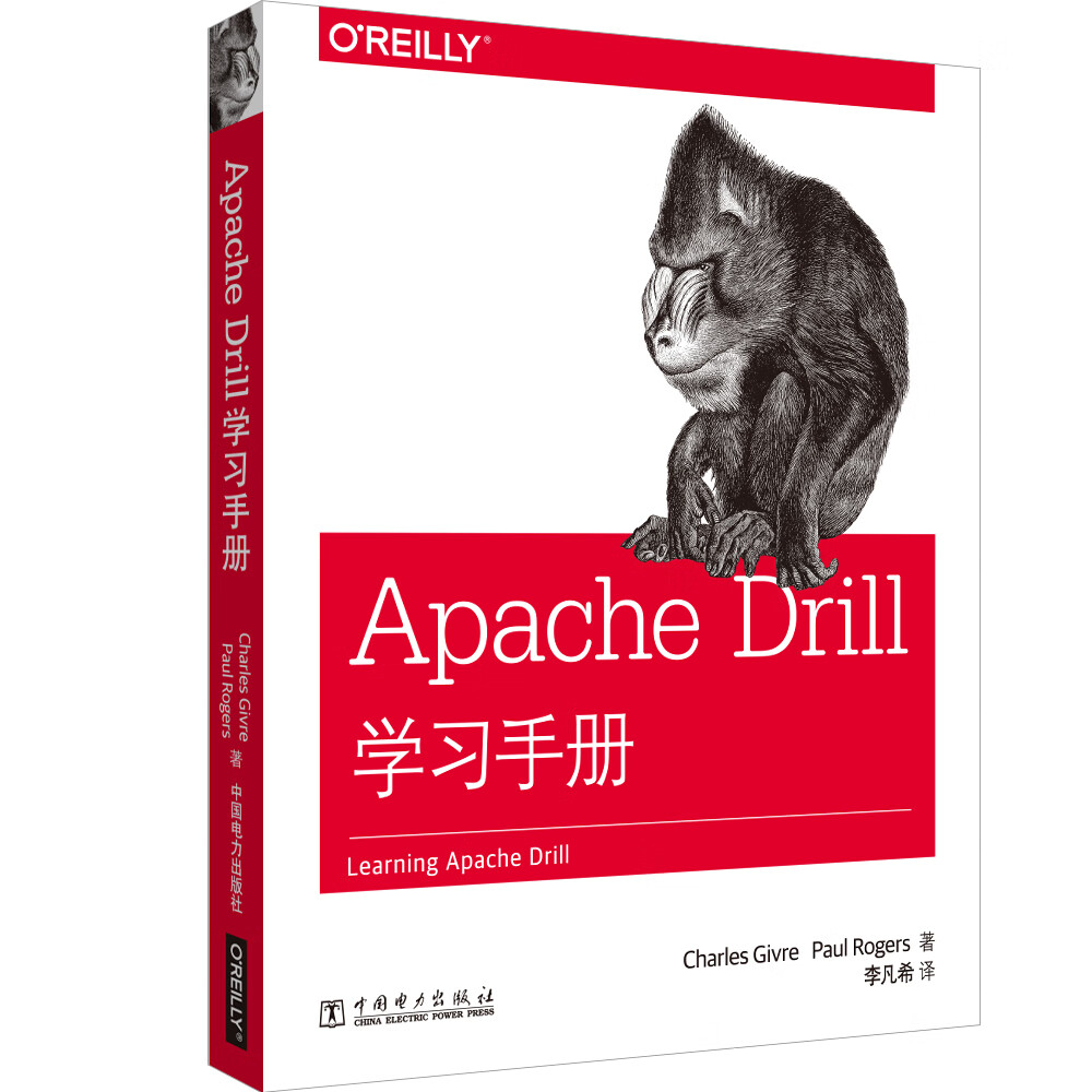 Apache Drill学习手册详情图