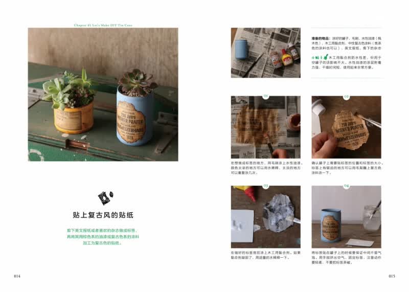 瓶瓶罐罐里的植物小世界