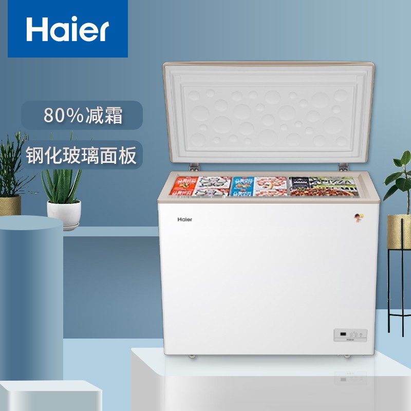 海尔(haier)203升 海尔冰柜商用家用 冷藏冷冻转换冷柜小型卧式冰箱