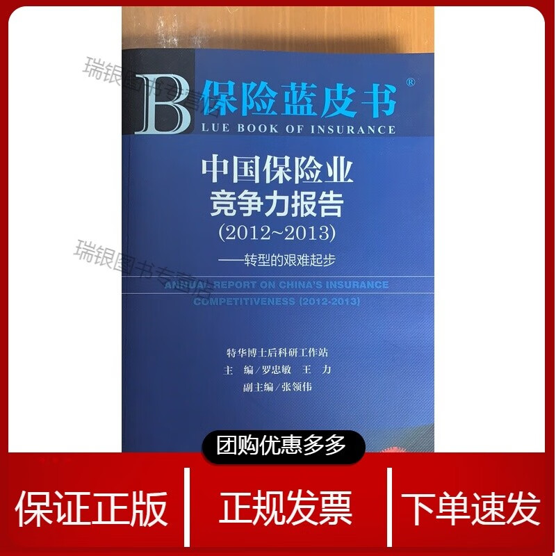 中国保险业竞争力报告（2012-1013）