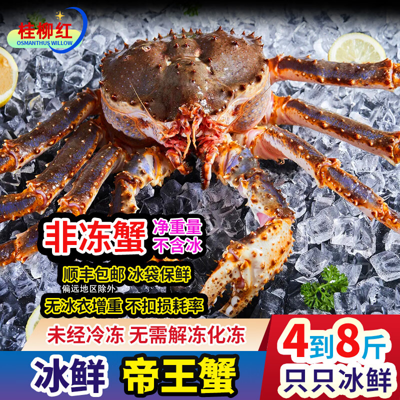冰鲜帝王蟹 特大俄罗斯进口皇帝蟹 长脚蟹超大鲜冻大螃蟹海鲜水产 【4