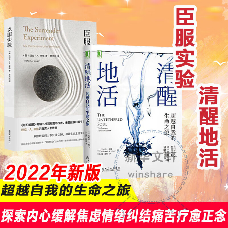 2022新版 臣服实验+清醒地活 迈克·A.辛格正版2册 不羁的灵魂的作者真真实的人生故事 图书