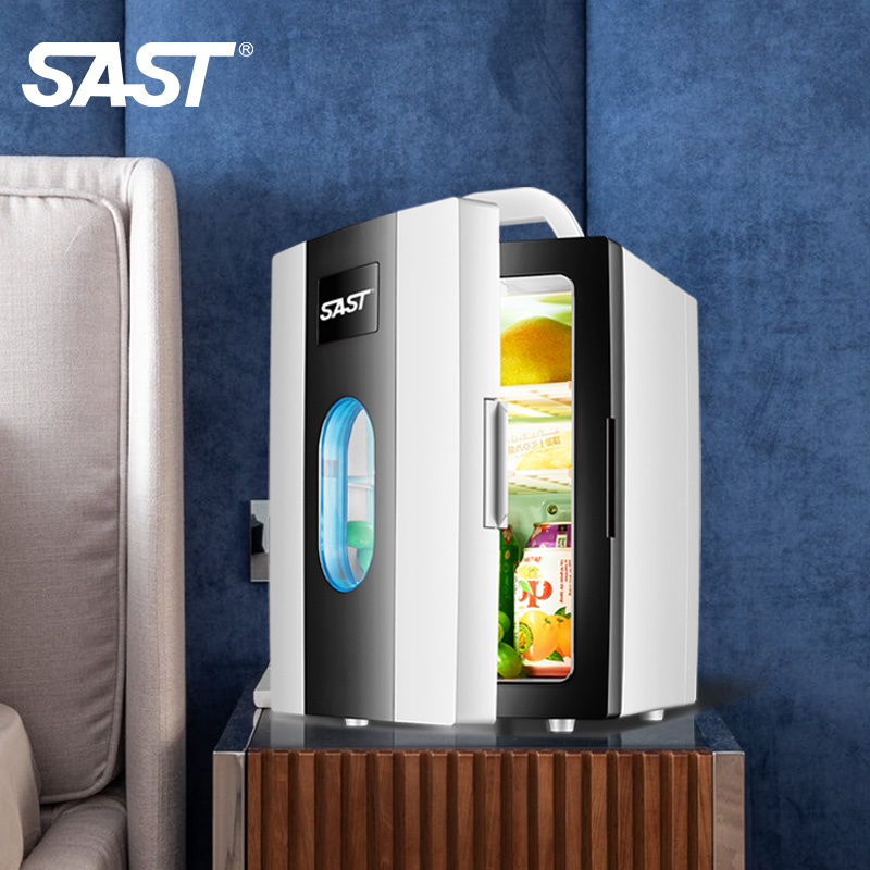 SAST 车载冰箱 10L迷你冰箱宿舍租房户外小冰箱便携式母乳冰箱