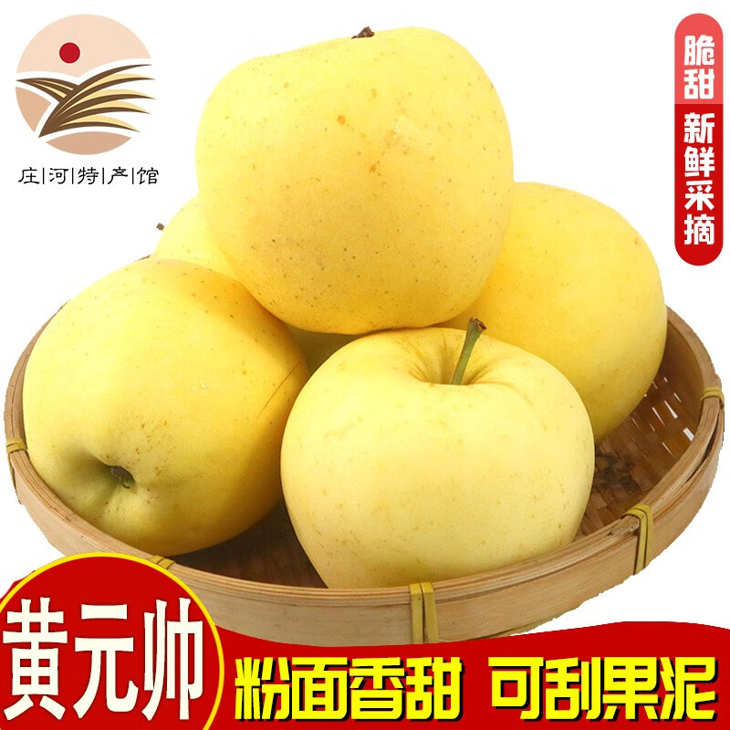 鲜姿大连黄元帅苹果应季苹果黄金帅奶油黄香蕉净重当季金帅新鲜水果 4.5斤中果(70-75mm+)