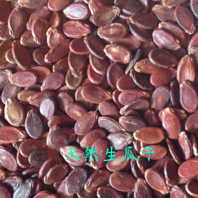 八壹八江西信丰产赣南西瓜子 农家手工炒熟原味 红瓜子 水煮盐味1斤500g