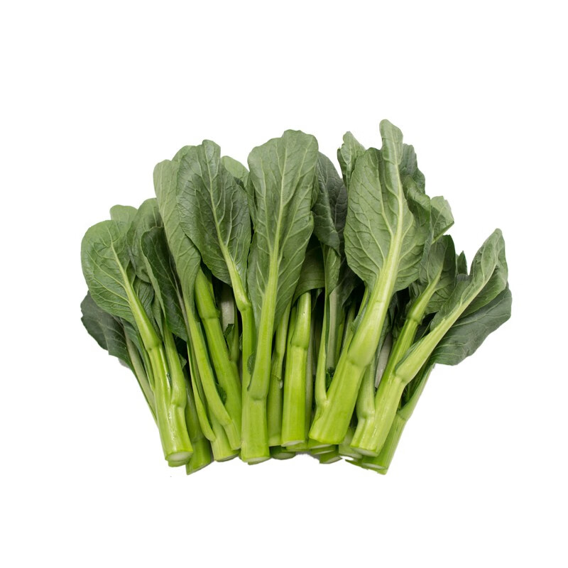 东升农场 菜心新鲜时蔬食品嫩甜现摘火锅白灼 宁夏蔬菜300g