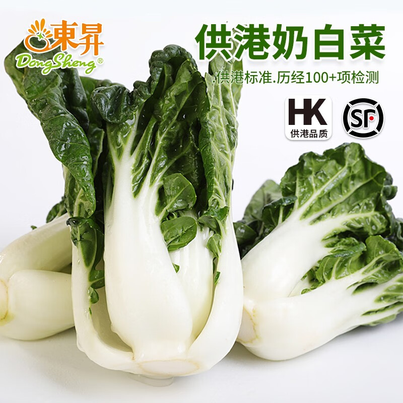 东升供港奶白菜300g小白菜油菜供港备案基地直供广州蔬菜新鲜配送 300g