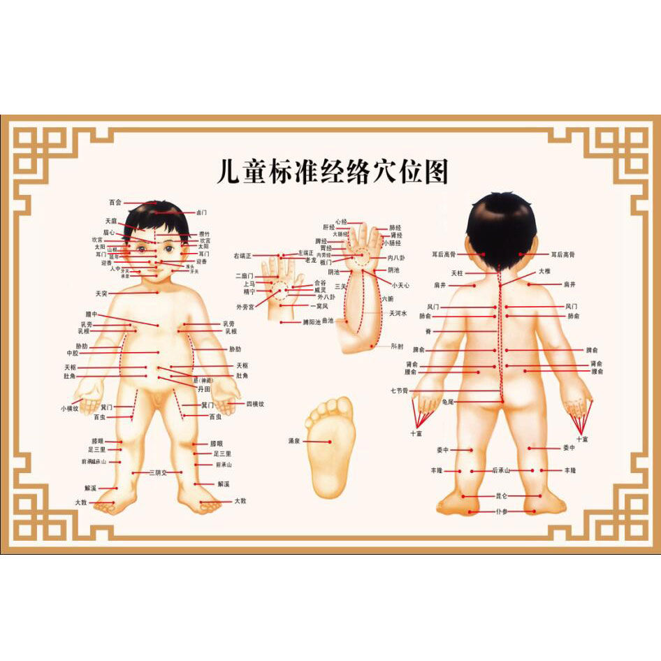 儿童经络穴位图标准人体经络图大挂图中医针灸按摩小儿推拿穴位图
