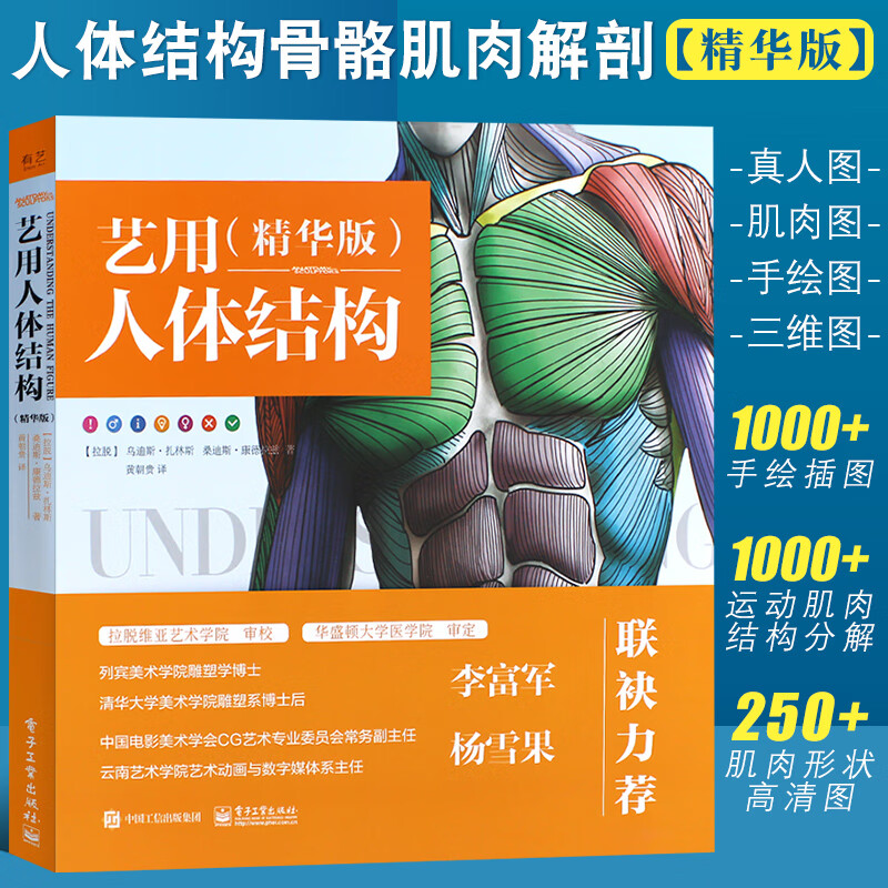 正版艺用人体结构 精华版 人物解剖 零基础初学者肌肉骨骼造型技法书