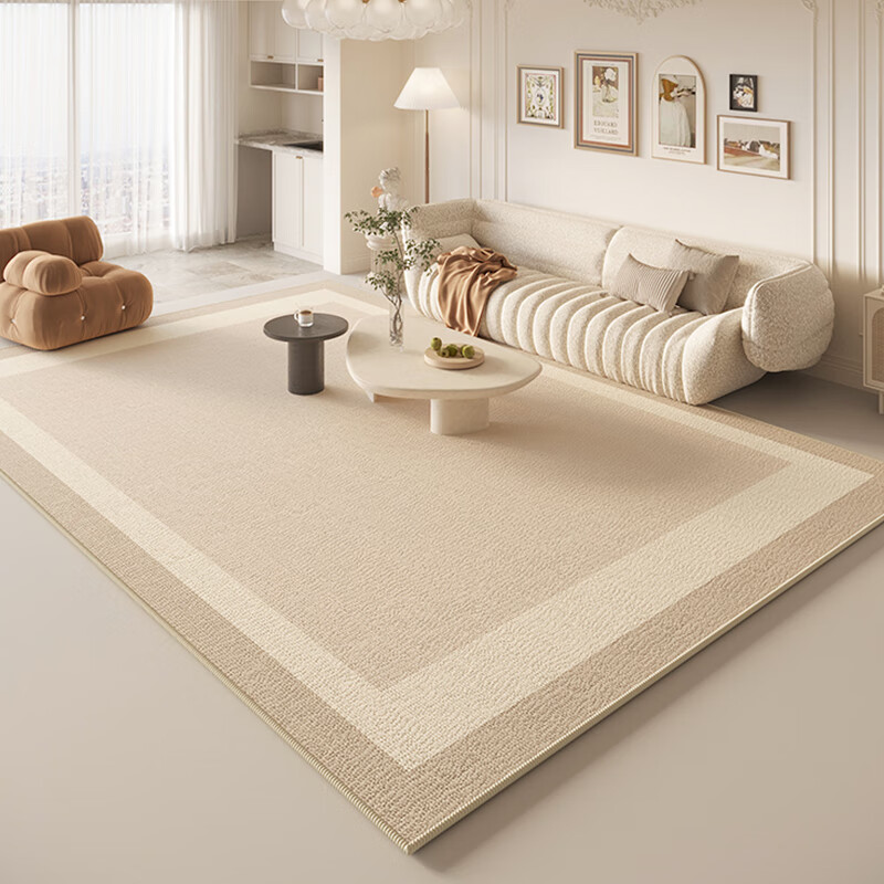 薄地毯薄客厅卧室可水洗客厅地毯2024轻奢感家用沙茶几垫 应予a 80c*