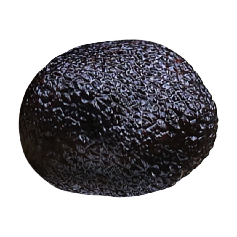 高原云品【全黑全成熟】冻鲜黑松露 云南菌菇  航空速达  全黑全成熟 2-3厘米 200克