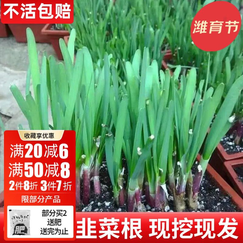 那个网站可以看蔬菜类历史价格|蔬菜类价格历史