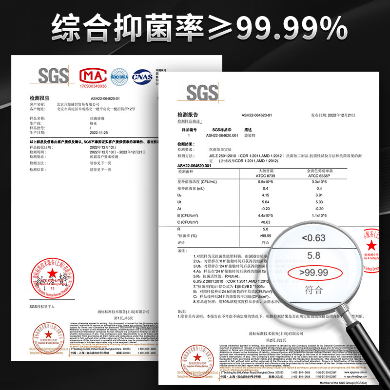 格亚（GEYA）Ag+银离子抗菌玻璃杯高档双层玻璃茶杯养生杯泡茶玻璃水杯子礼盒 银色380ml