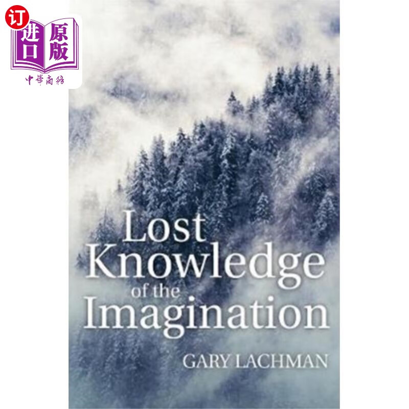 海外直订Lost Knowledge of the Imagination 失去的想象力知识