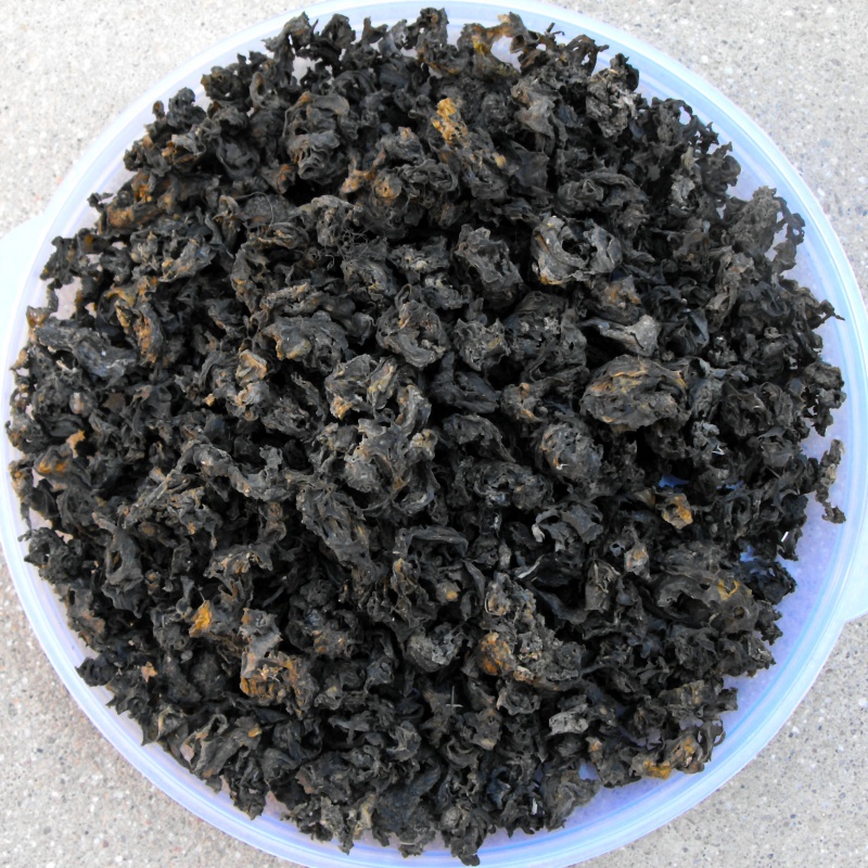 秋知余甘肃土特产野菜干地皮菜地耳菜地达菜地软1斤