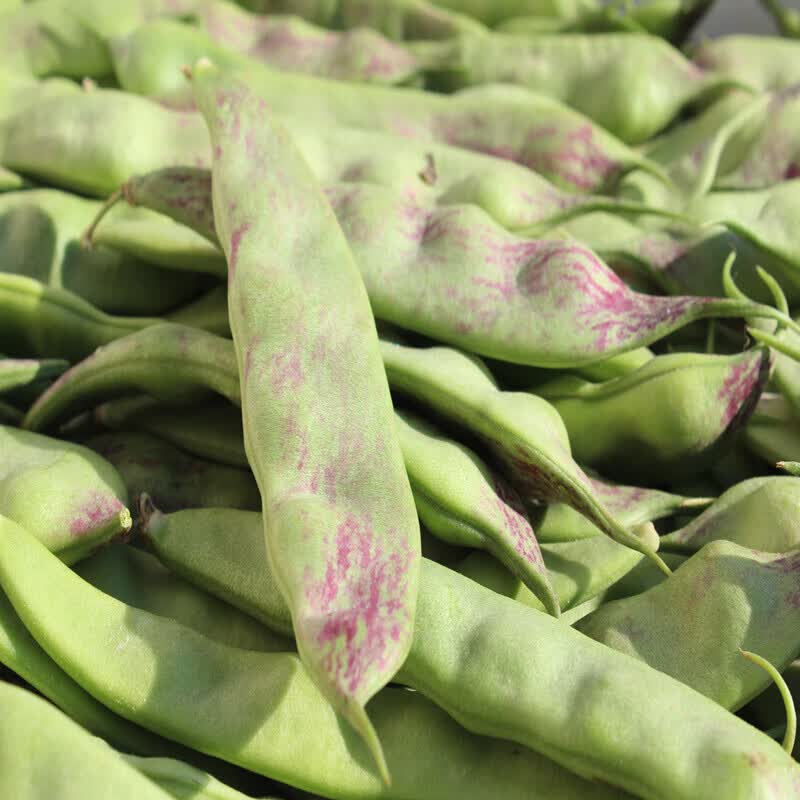 虎钢馋东北油豆角5斤新鲜蔬菜一点红大宽面豆角开锅烂九月青 2500g