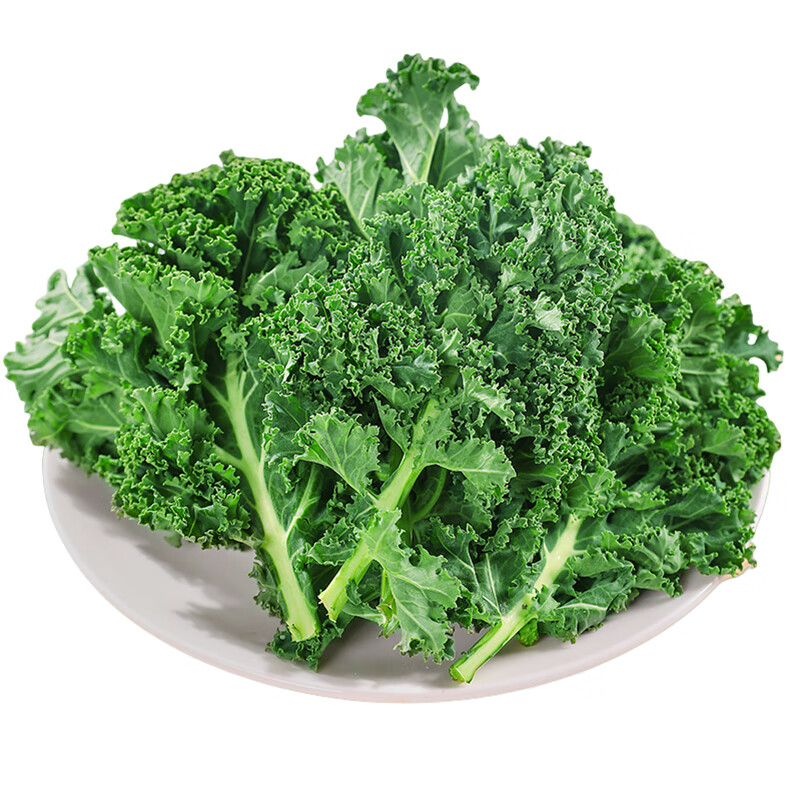 马保果羽衣甘蓝 绿叶甘兰嫩叶芥蓝菜kale西餐沙拉健康轻食绿叶菜蔬菜