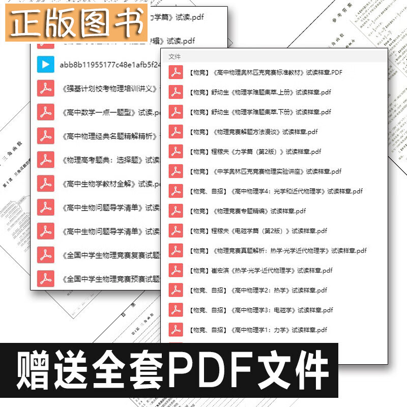 【赠品】书籍电子版试读文件（部分）PDF或其他格式 需联系客服