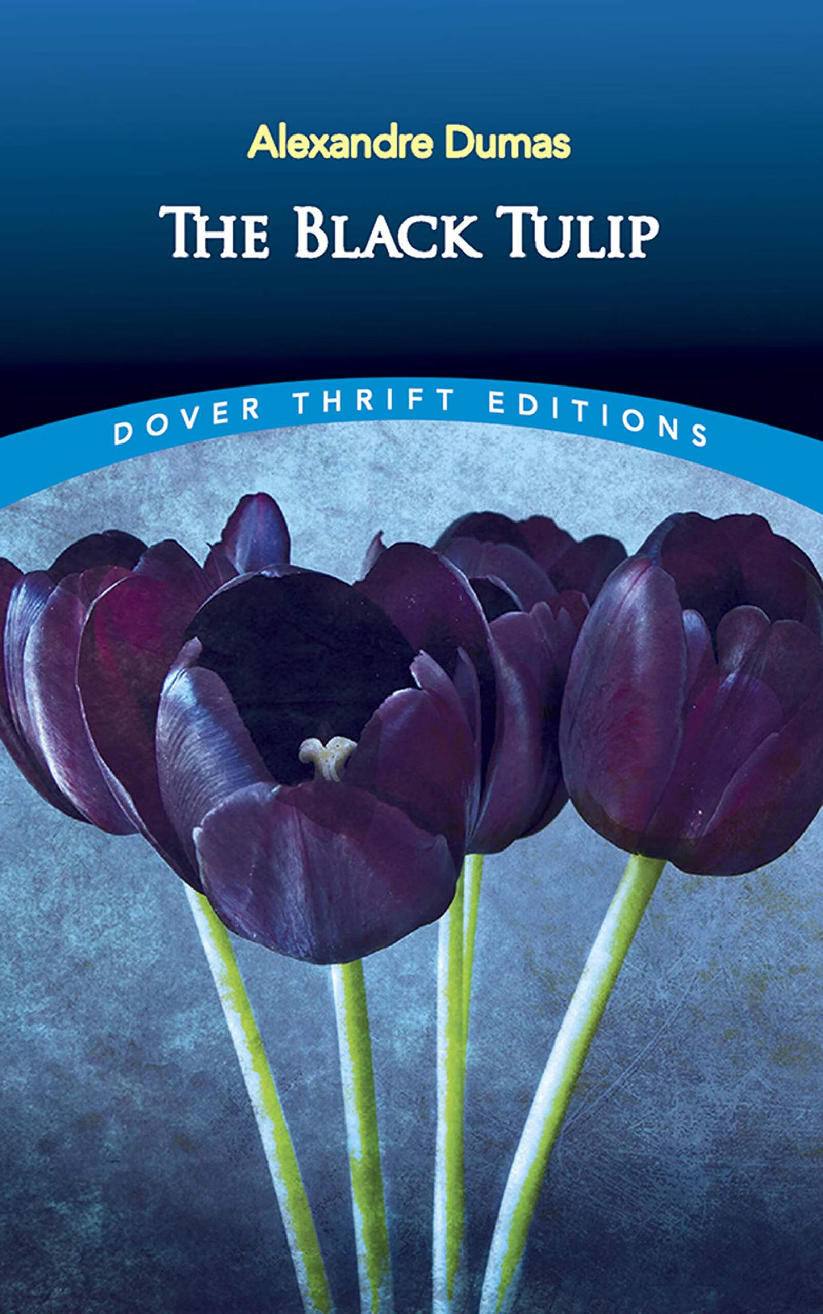 black tulip
