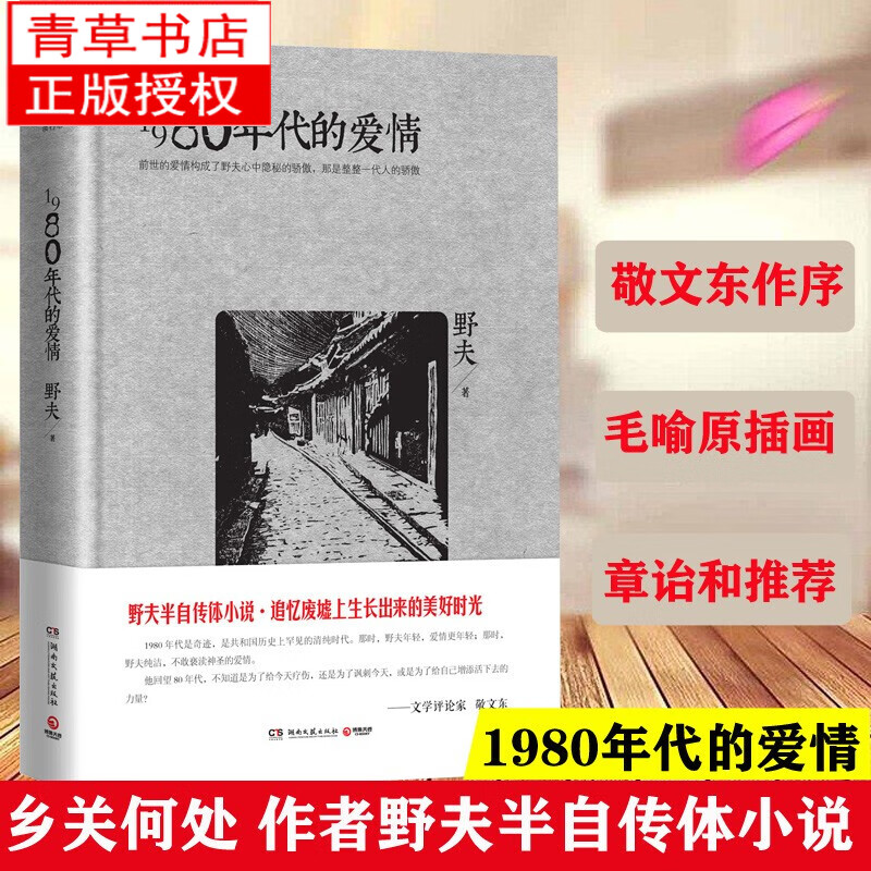 1980年代的爱情《乡关何处》作者野夫半