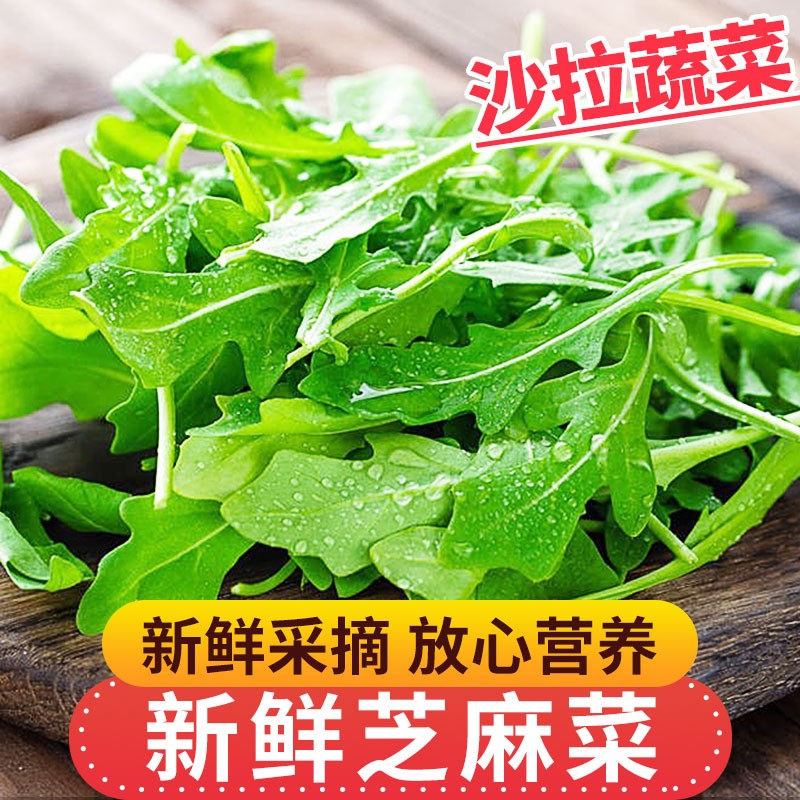 良邻和优 芝麻叶 新鲜菜芝麻菜 火箭菜 西餐蔬菜 沙拉食材 500g (1斤)