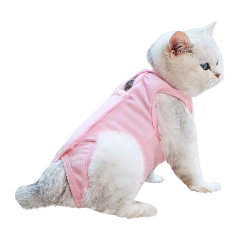 èèĸè·ָСèè͸ 17.9Ԫ