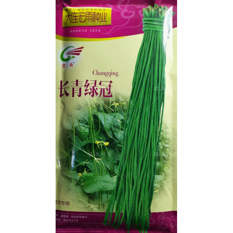 菜友特长青条豇豆角孑高产耐湿春秋四季农家田园蔬菜深绿豆角 长青