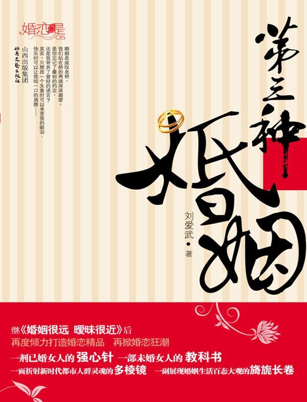 第三种婚姻 刘爱武 著 北岳文艺出版社