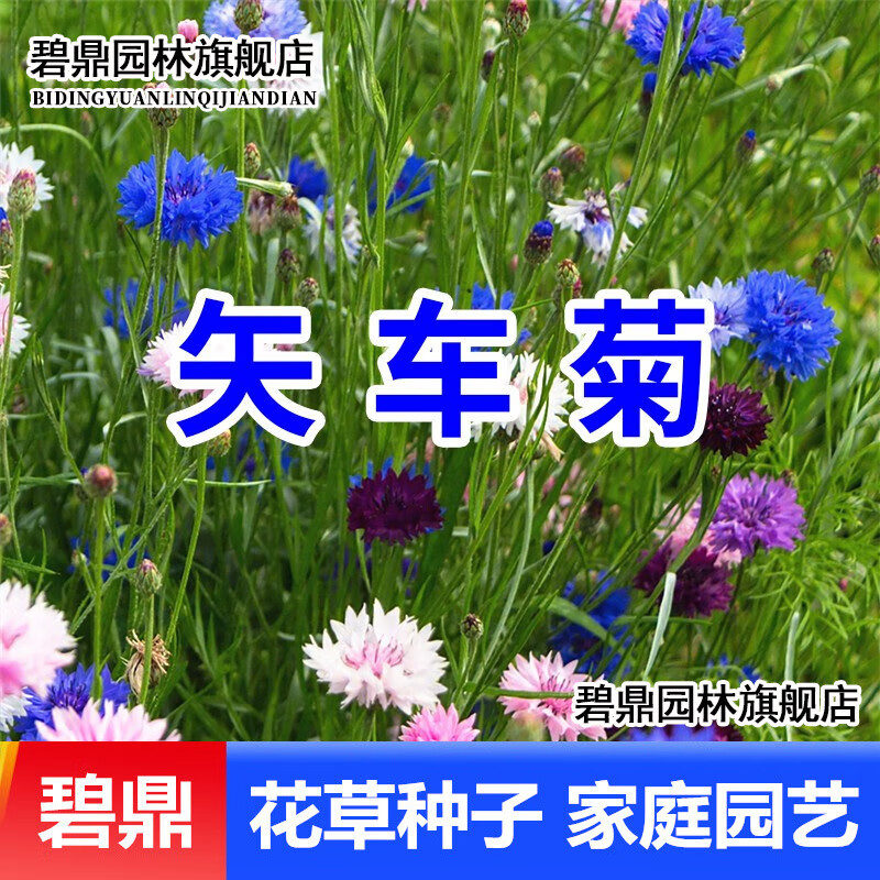 怎么查一款花草林木类历史价格|花草林木类价格走势