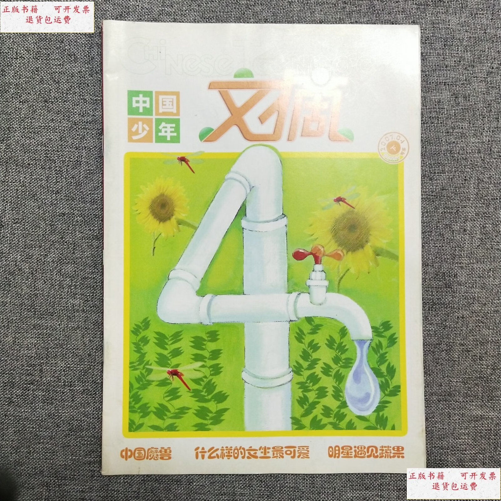 【二手9成新】中国少年文摘 2007.04下