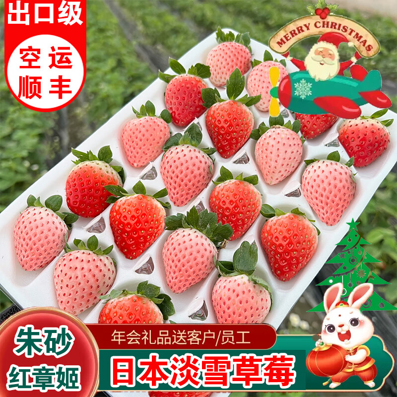 四叔公果蔬日本淡雪草莓水果礼盒装 淡雪草莓 圣诞礼物草莓礼盒 淡雪