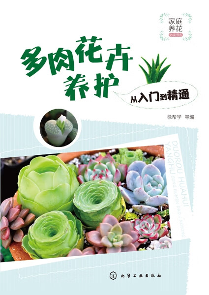多肉花卉养护从入门到精通/家庭养花必读书系