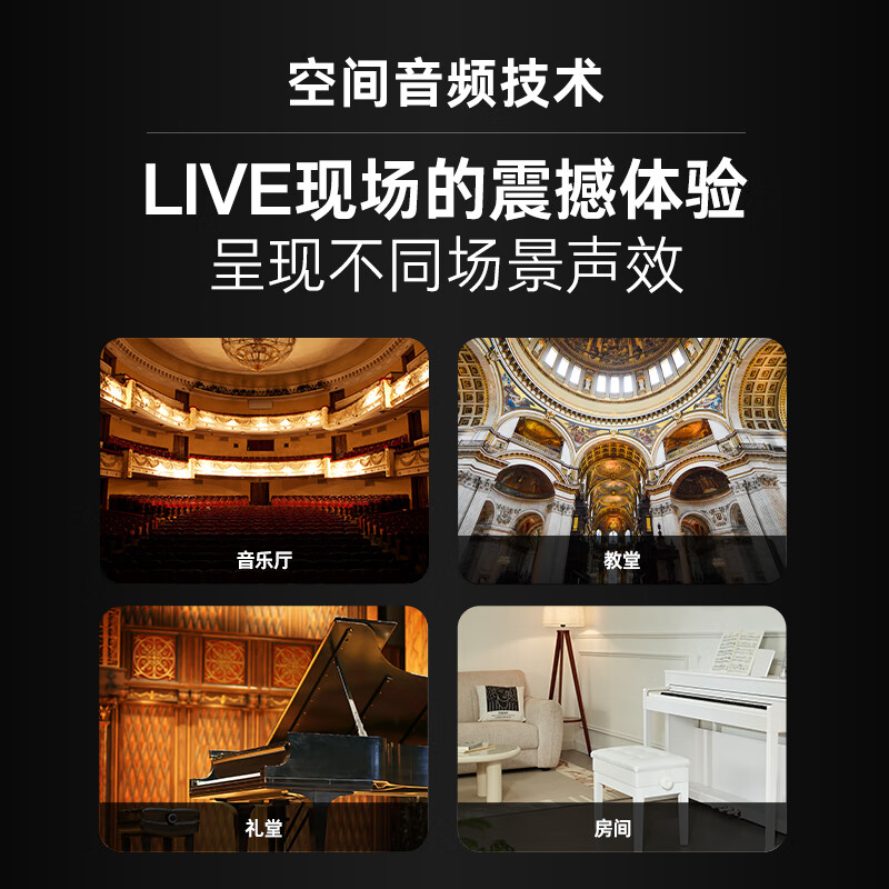 特伦斯（Terence）便携电钢琴88键重锤便携式电子钢琴成人儿童入门考级家用初学者 BX-05/典雅黑+三踏板