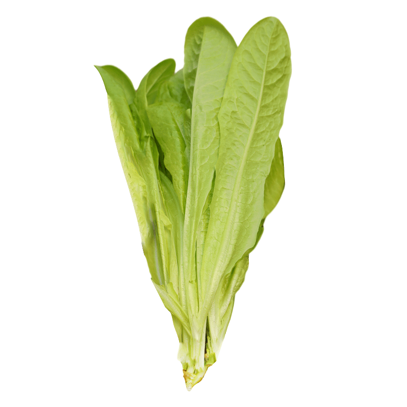 ����������������������������� ���Կ�ȸ������1500�������֡�