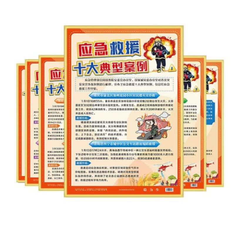 挂图 应急救援十大典型案例宣教挂图6张