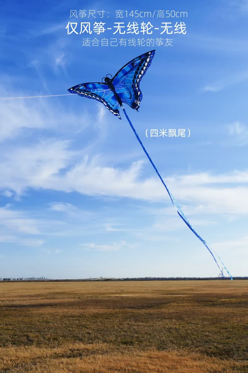 好沐音(haomuyin)风筝 大型2000米2024年新款式风筝长尾仿微风易飞网