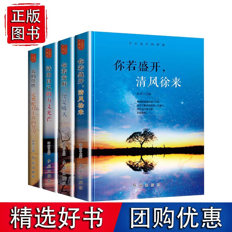 万丈光芒的梦想 全4册 塑封