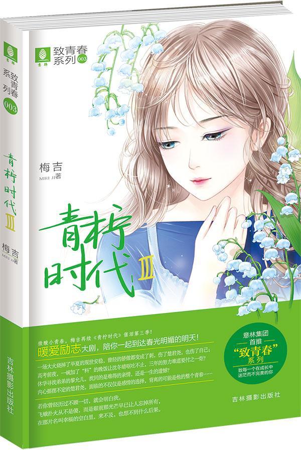 意林致青春系列3--青柠时代Ⅲ梅吉吉林摄影出版社9787549829965 青春