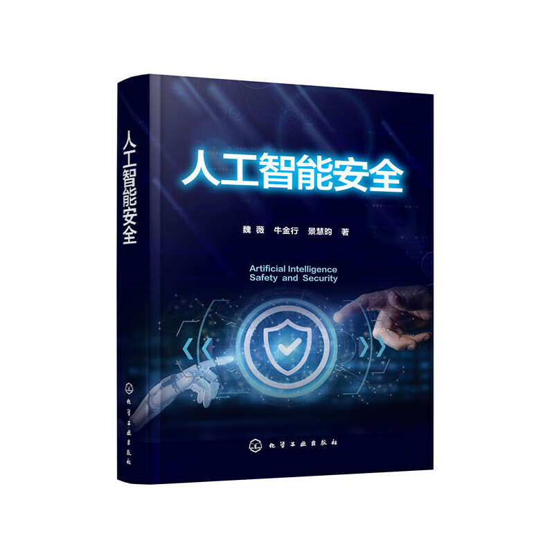 人工智能安全(精)
