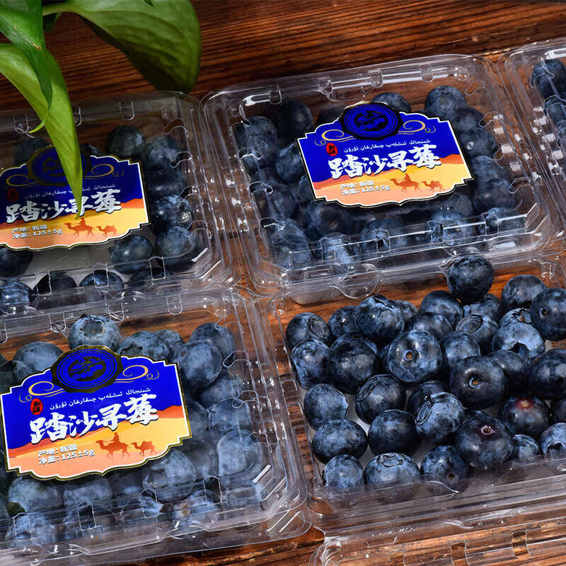 采缇(caiti) 新疆喀什蓝莓新鲜蓝莓应当季鲜果现摘现发孕妇水果顺丰