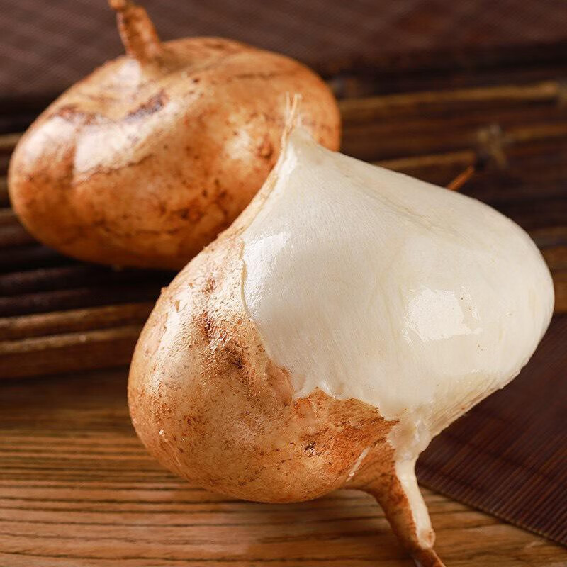 北蔬 凉薯种子牧马山地瓜苗白色水果 牧马山地瓜5克约30粒/袋