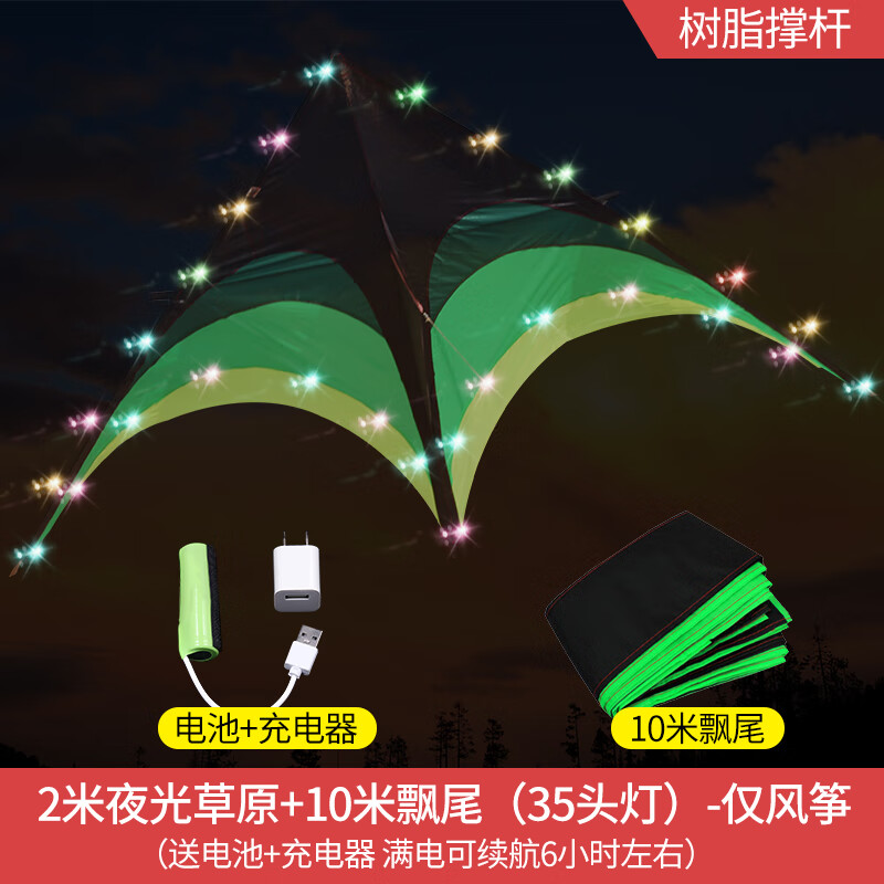 特技风筝大人专用大型网红特超大2021年新款儿童微风 2米夜光草原+10米飘尾-35头灯(仅
