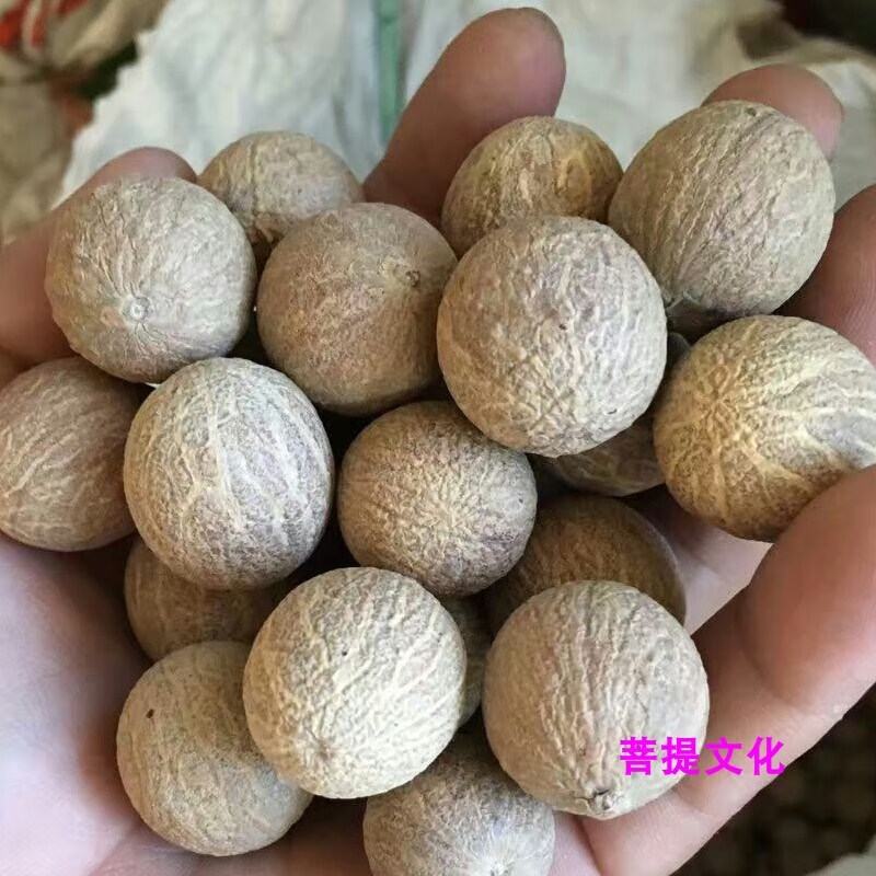 珠佩丽菩提果原果菩提果佛心果原籽老果菩提果手把件菩提果原果千眼