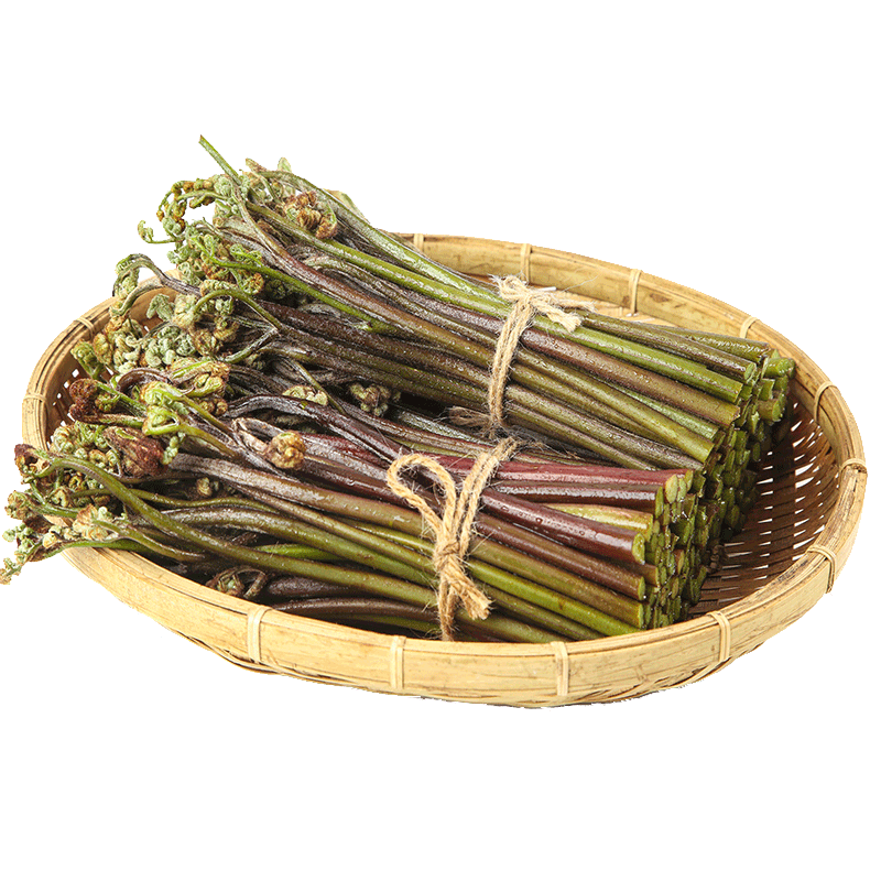 现摘蕨菜5斤新鲜现货野生蔬菜下饭菜当季天然野地菜山撅菜青厥菜 1500