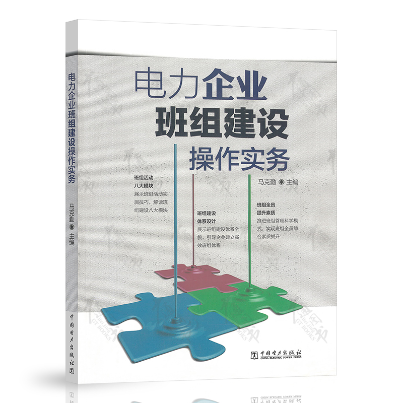 电力企业班组建设操作实务 中国电力出版社
