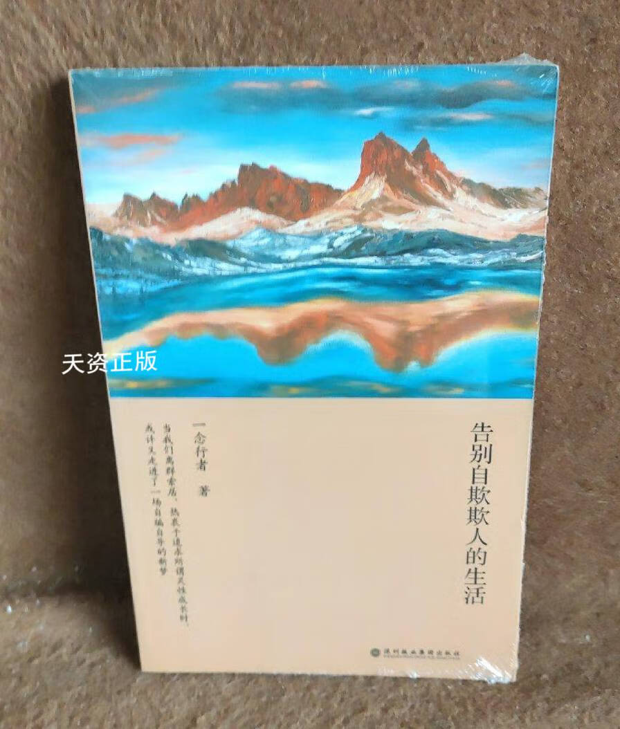 【二手9成新】告别自欺欺人的生活 一念行者 深圳报业集团出版社
