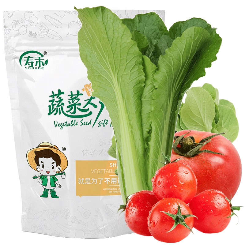 壽禾6種蔬菜種子苗套餐菜心香菜生菜小白菜種籽 濰育5+1蔬菜大禮包